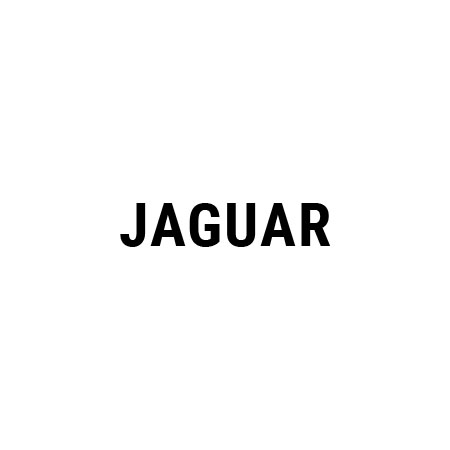 Chip Tuning Jaguar