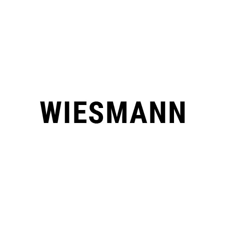 Chip Tuning Wiesmann